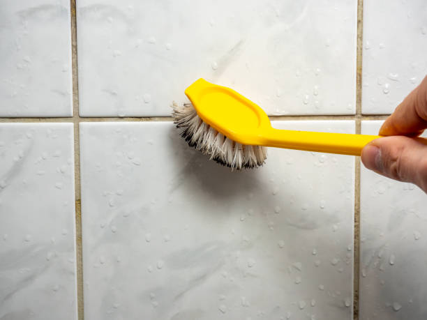 Best Black Mold Removal  in Murray, UT