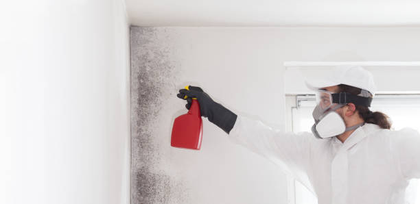 Best Mold Testing  in Murray, UT