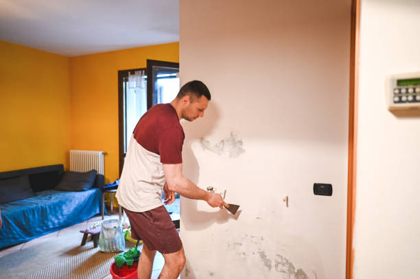 Home Mold Removal in Murray, UT