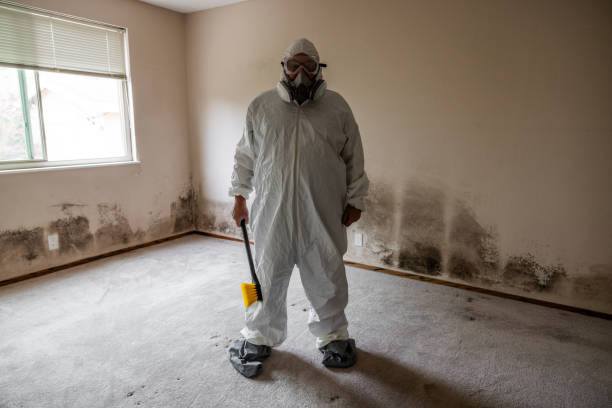 Best Mold Damage Repair  in Murray, UT